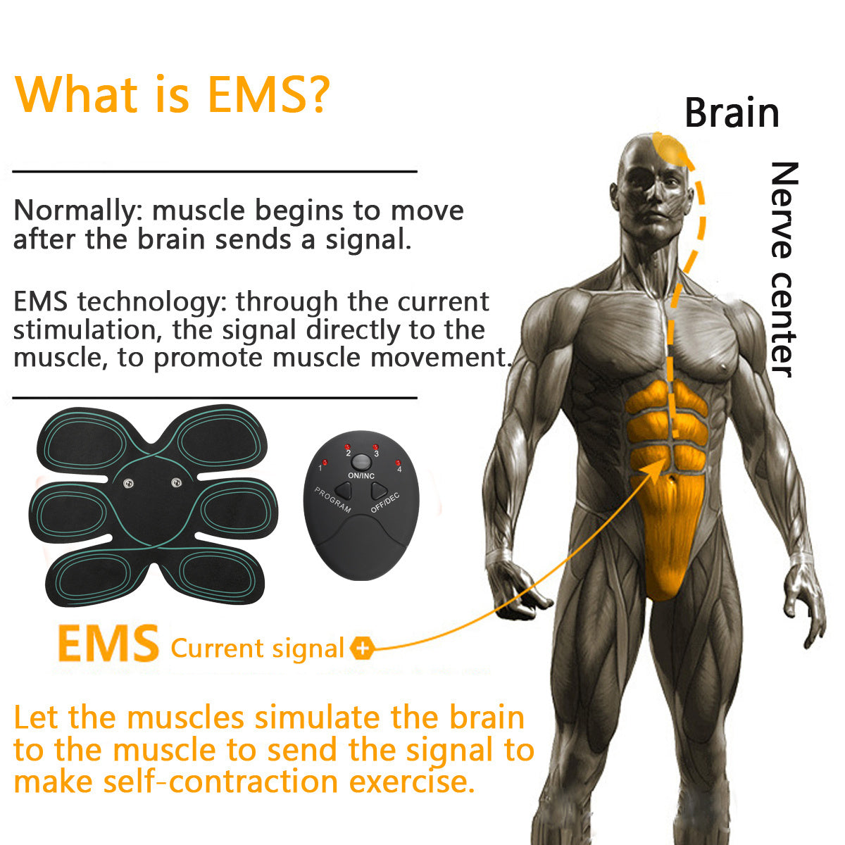 Electro stimulation Abs and Biceps Trainer